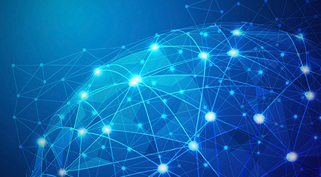 泰安藝樹園林綠化有限公司